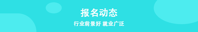报名动态